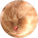 S F profile picture